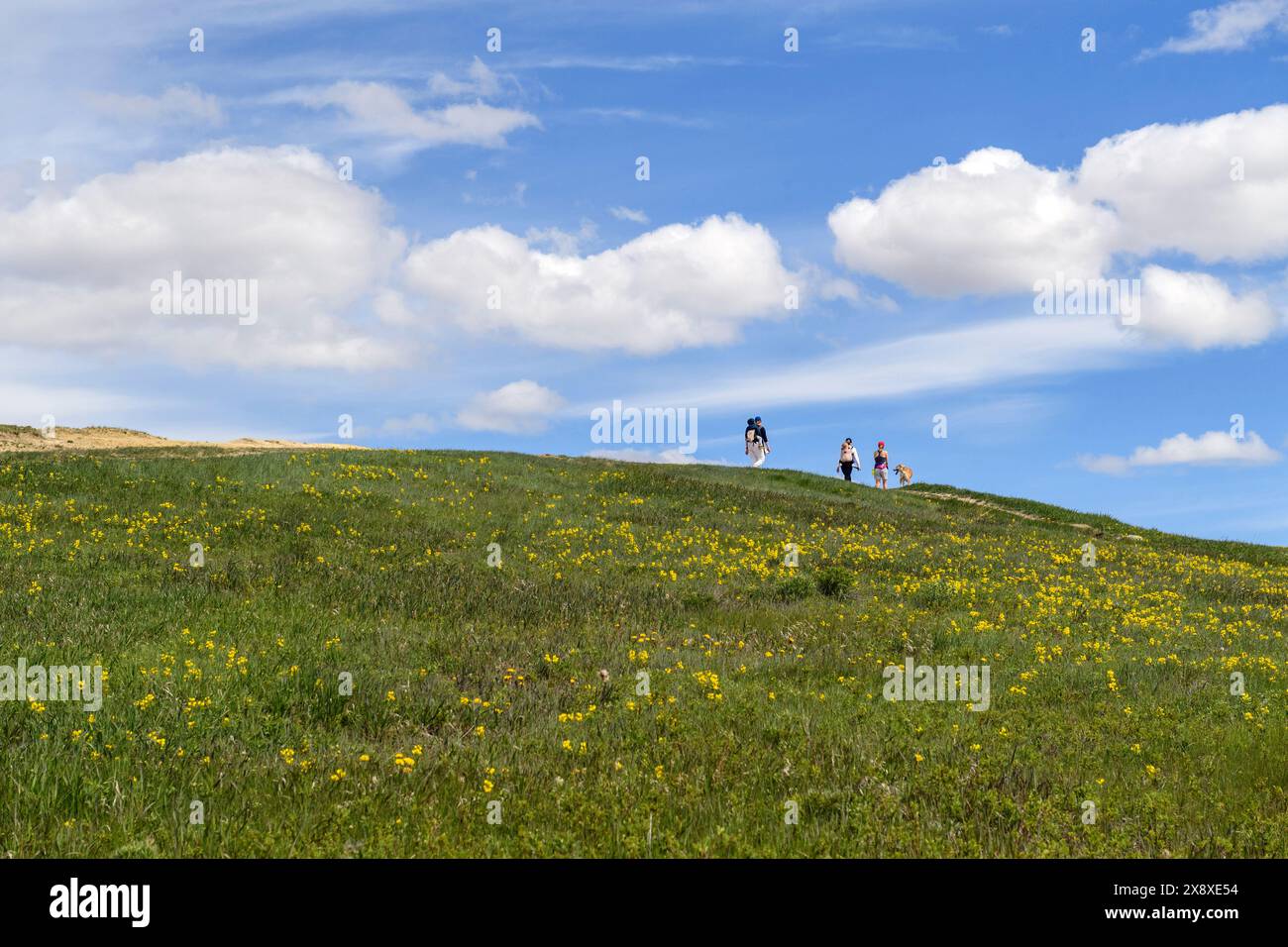 A family on a hike and dog walk in Nose Hill Park, Calgary, Alberta Canada Stock Photo