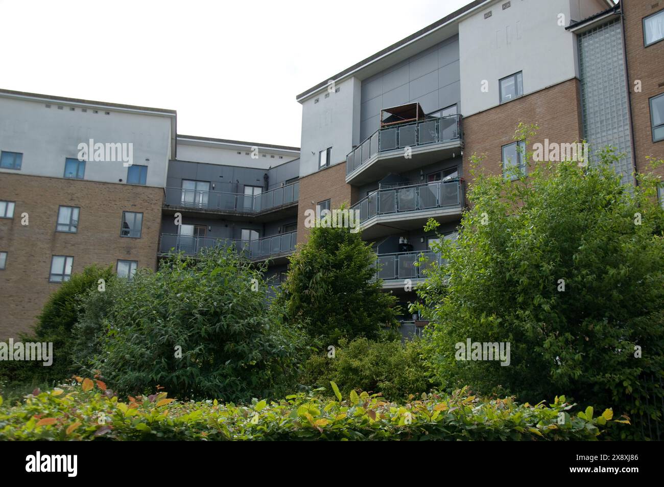 Social housing london hi-res stock photography and images - Alamy