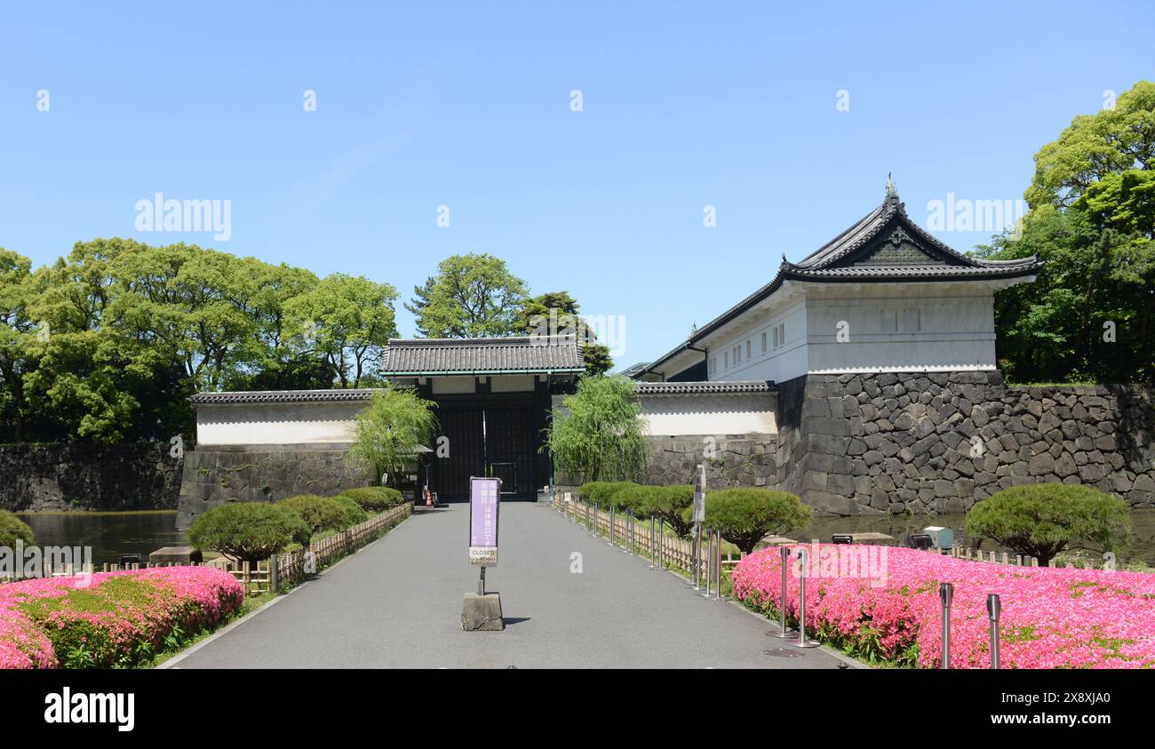 Flowers at the Ninomaru Garden gate of the  the Imperial palace in Chiyoda, Tokyo, Japan. Stock Photo