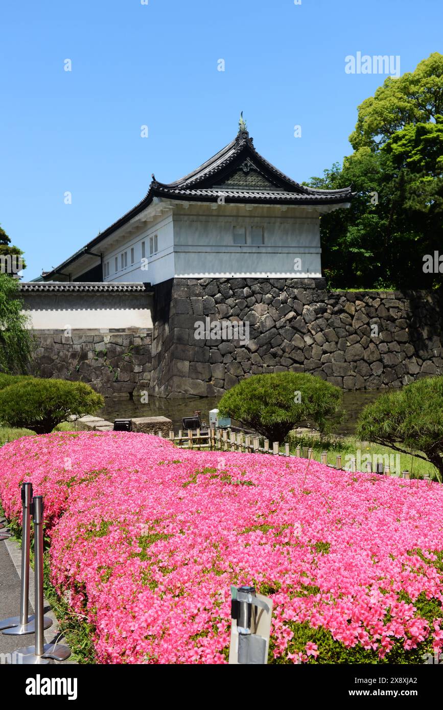 Flowers at the Ninomaru Garden gate of the  the Imperial palace in Chiyoda, Tokyo, Japan. Stock Photo