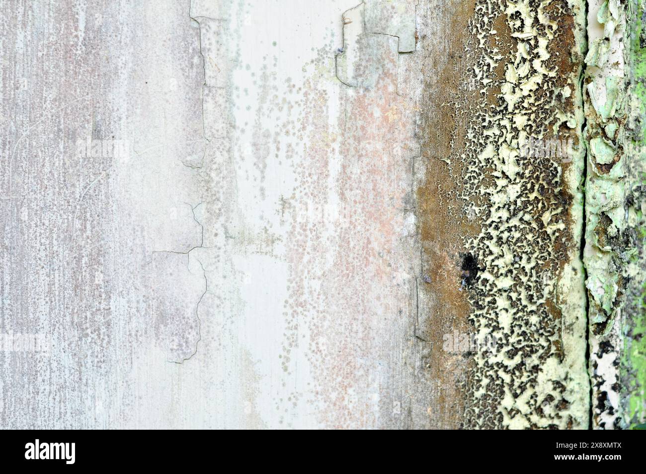 The wall paint is peeling and moldy selective focus Stock Photo