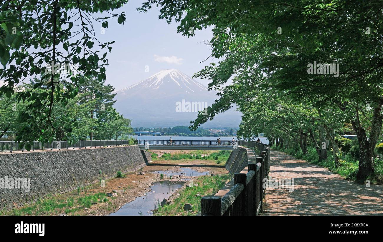 Mt. Fuji in Kawaguchiko in good weather in summer Stock Photo