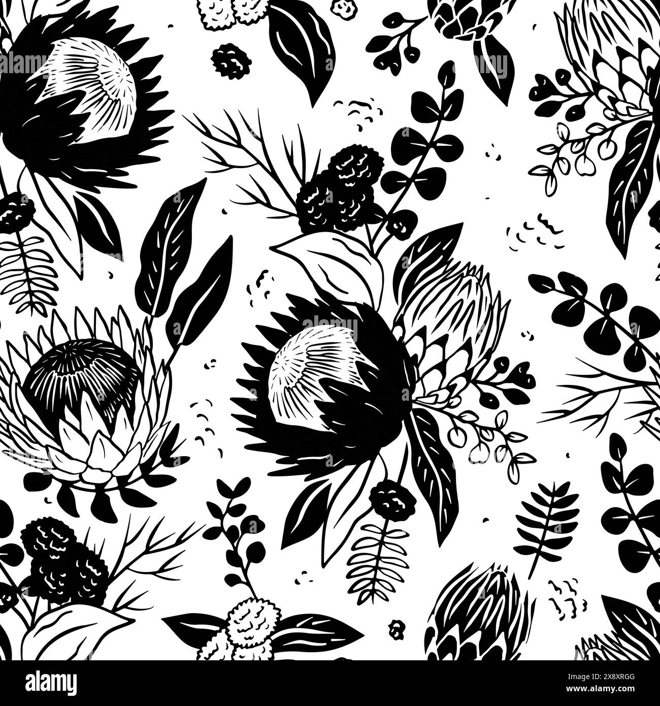 Black and white seamless pattern with line art protea flowers on white ...