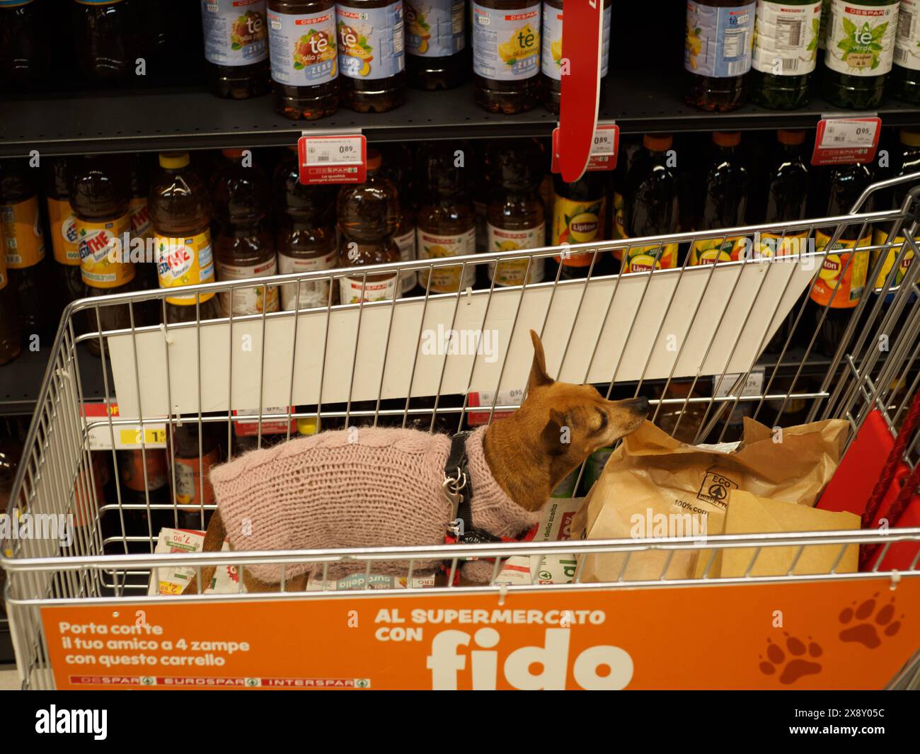 Dog pet store aisle hi res stock photography and images Alamy