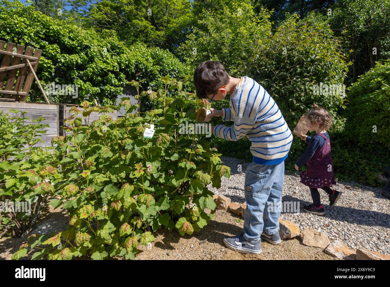 Children releasing the hi-res stock photography and images - Alamy