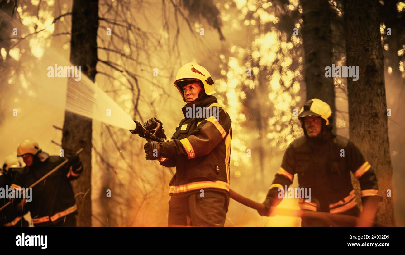 Portrait of a Brave Professional Female Firefighter Using a Firehose to Fight a Raging Dangerous Wildfire. Experienced Team Skillfully Manage the High-Pressure Water and Stay Protected and Safe. Stock Photo