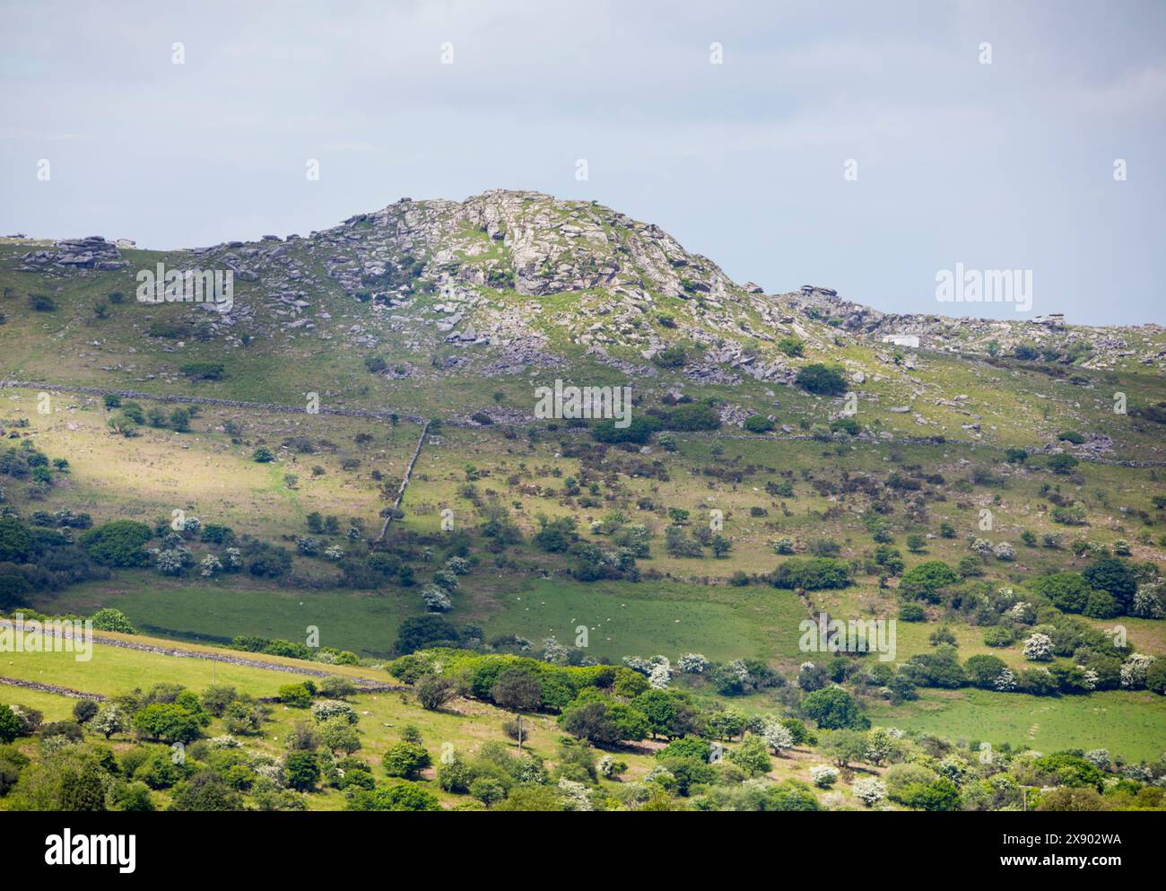 Sharptor on Bodmin Moor Stock Photo