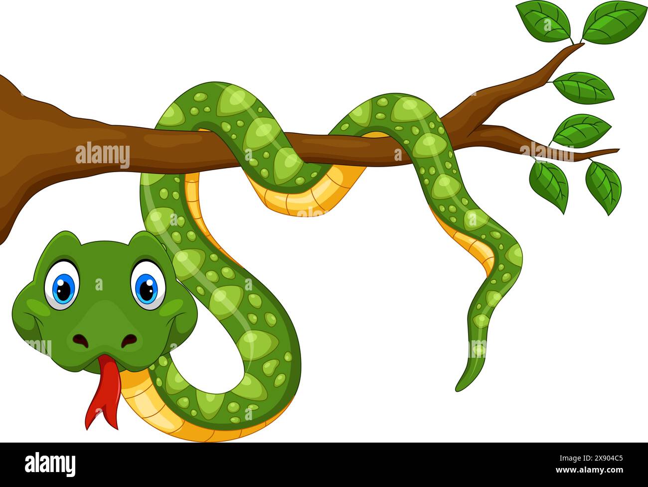 Cartoon green snake on tree branch isolated on white background Stock Vector