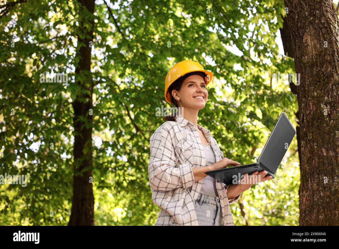 Forester in hard hat with laptop working in forest Stock Photo