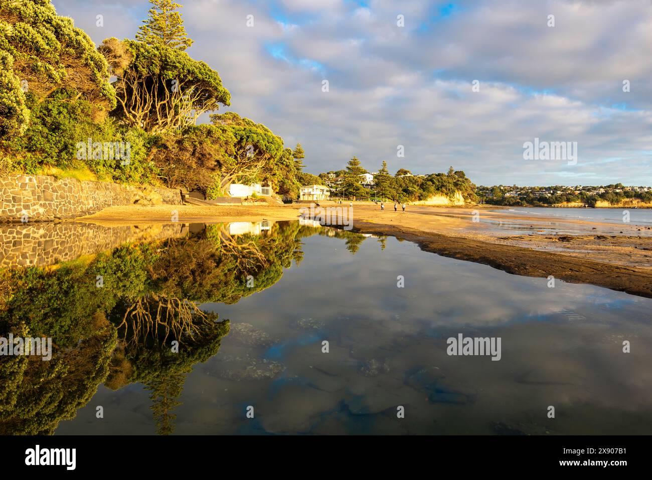 Reflections in a pool of fresh water at Mairangi Bay Beach on the west