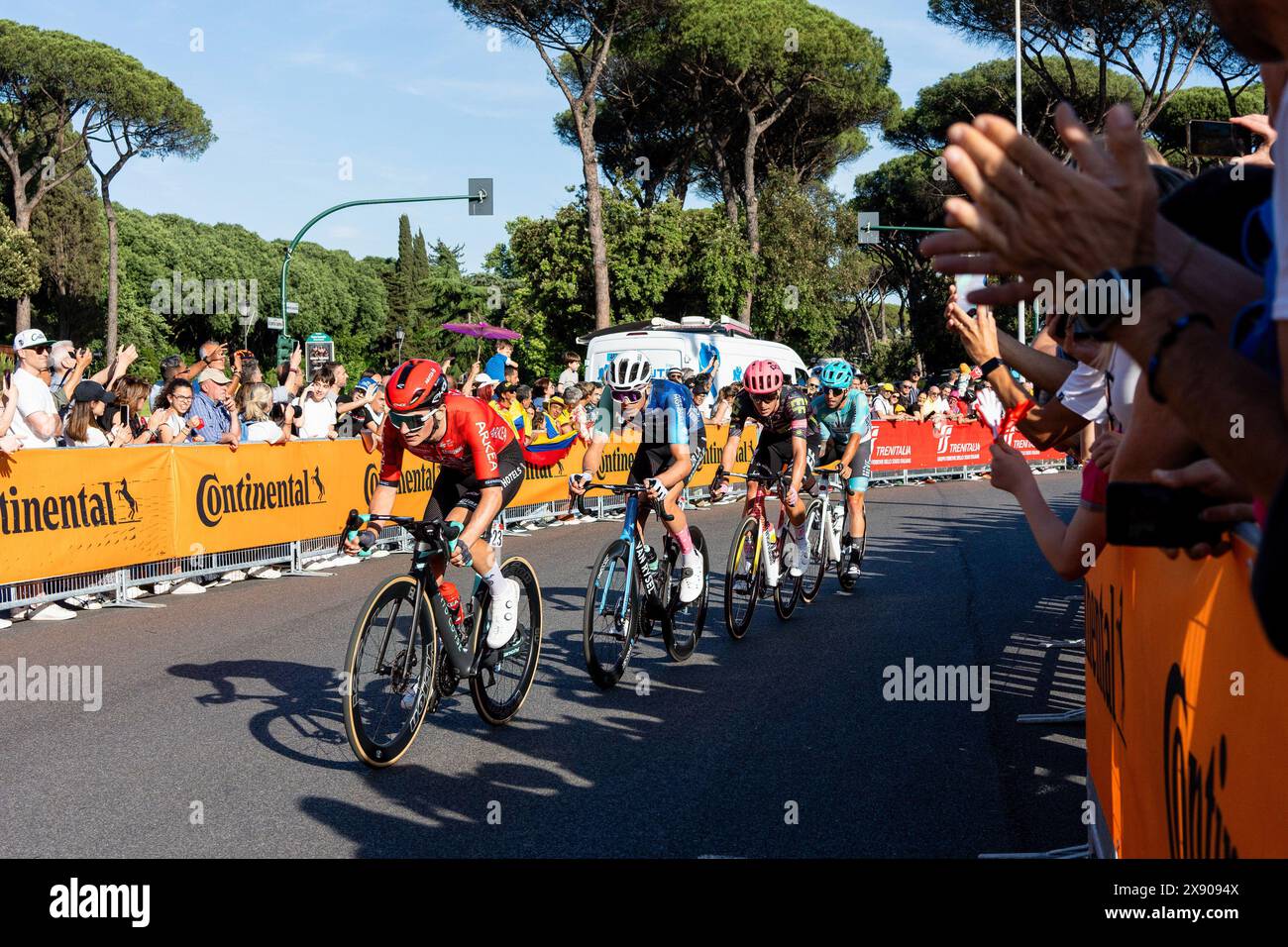 Maglia rosa vélo club hotsell
