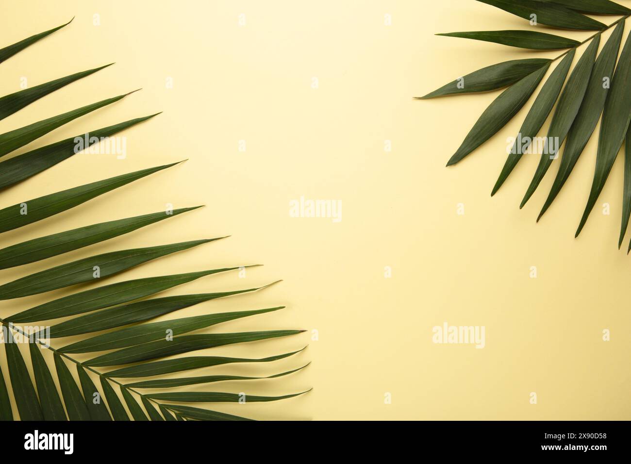Green tropical palm leaves on bright yellow background. Top view Stock ...