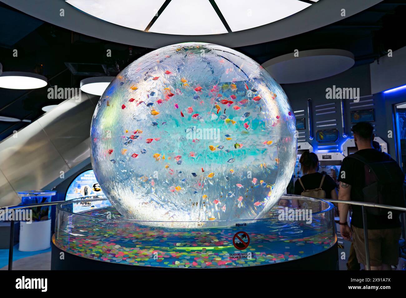 Kuala Lumpur, Malaysia May 7, 2024 Colorful Fishes and Aquatic Life