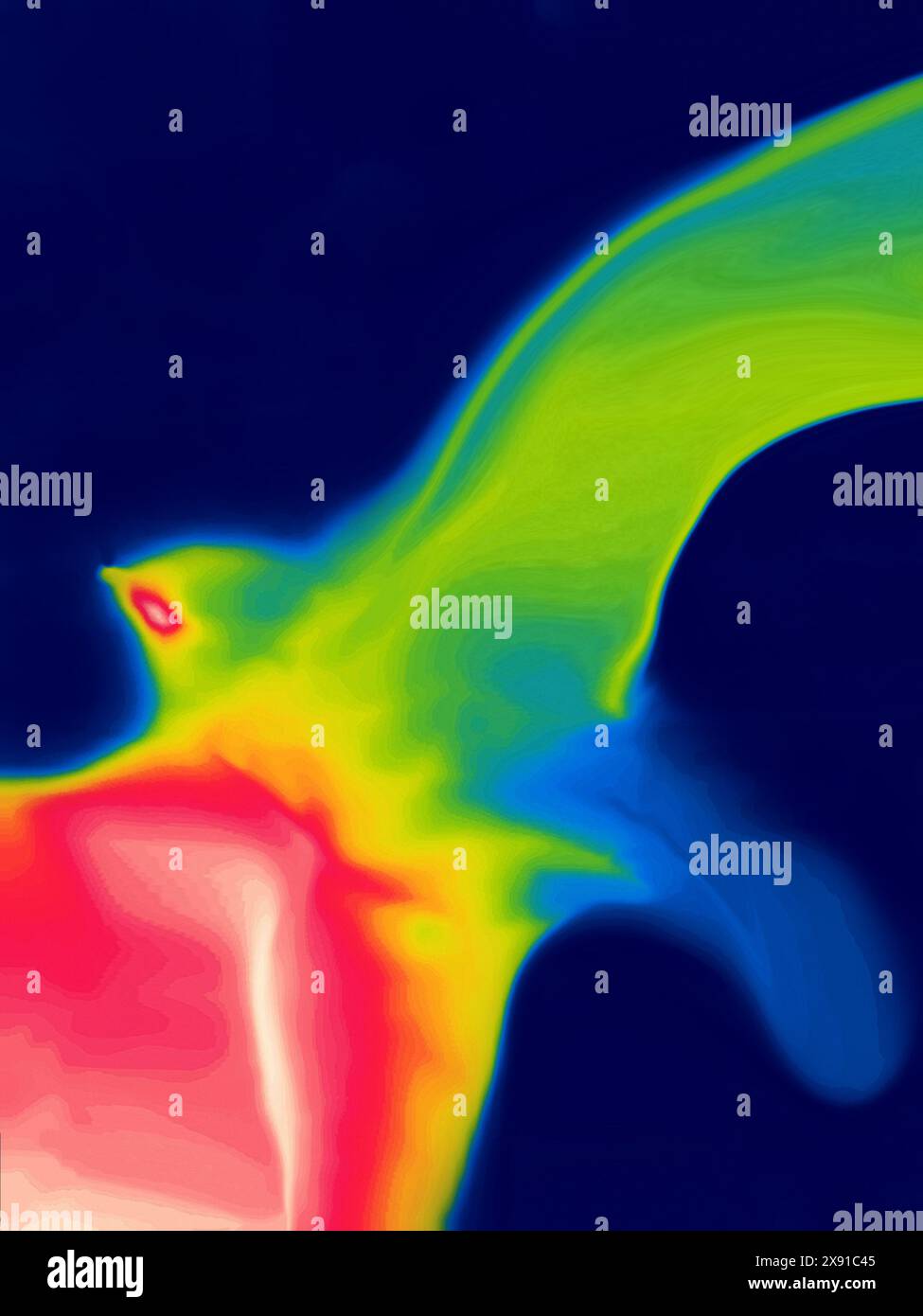 The Firebird (from Igor Stravinsky's ballet) - the mystical bird of happiness imagination. Thermal impressijnism Stock Photo