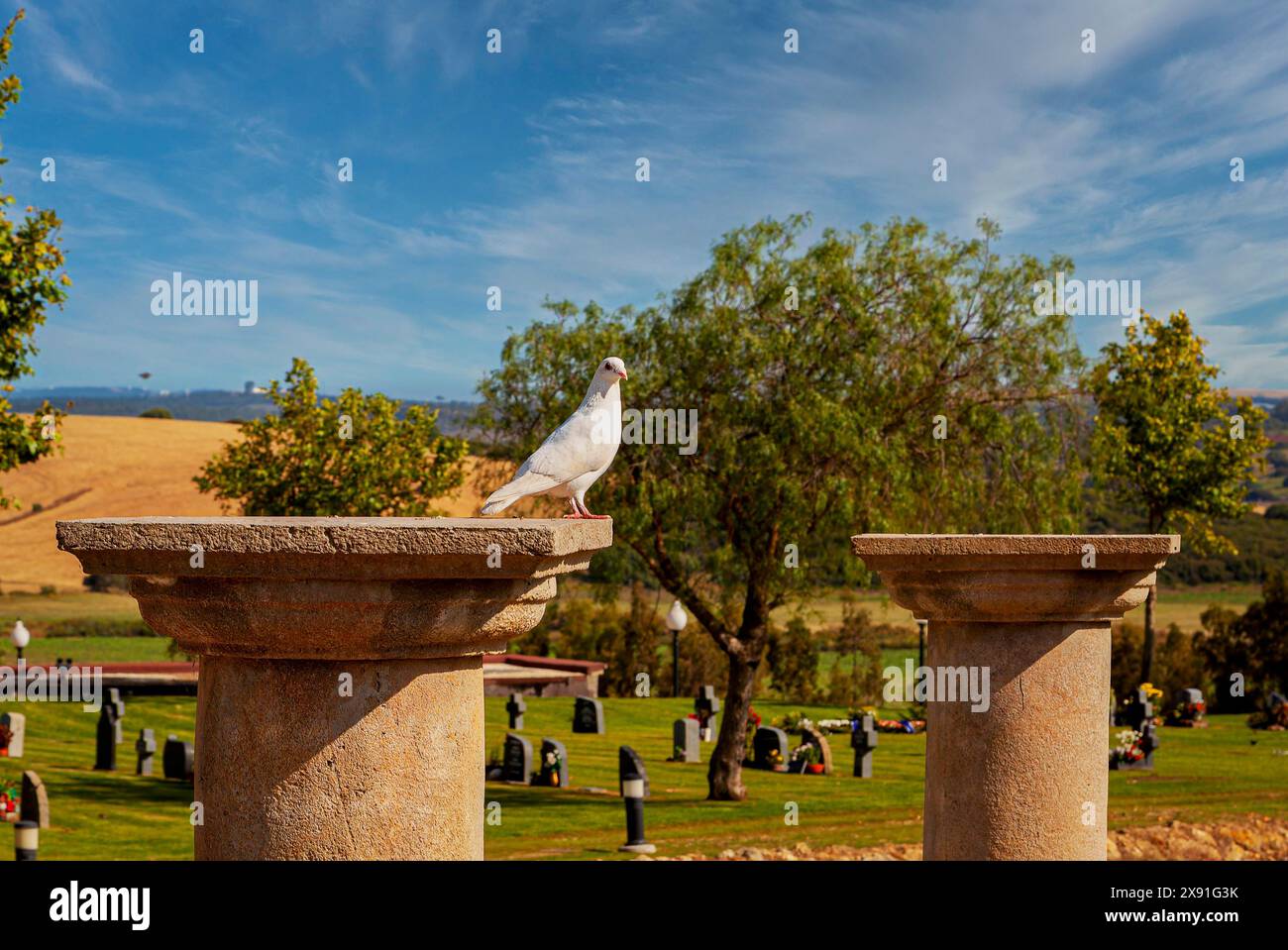 Large cemetery with tombs and religious symbols in Chiclana, Andalusia, Spain Stock Photo