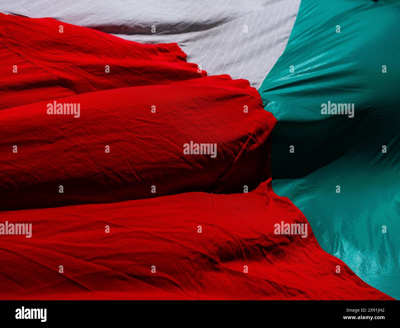An abstract photograph of the Palestinian flag. Stock Photo