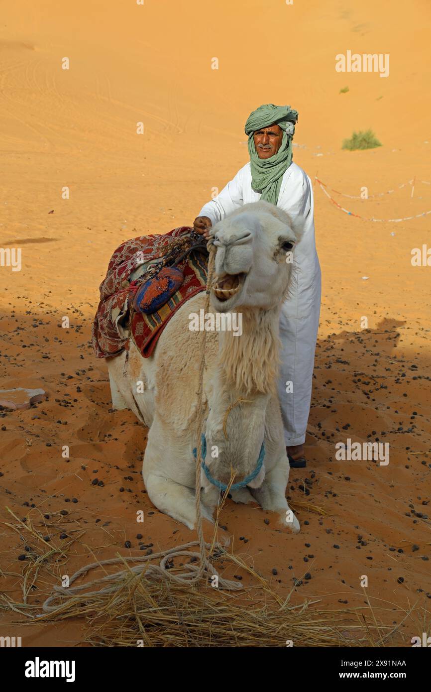 Camel driver at Taghit in the desert of Western Algeria Stock Photo