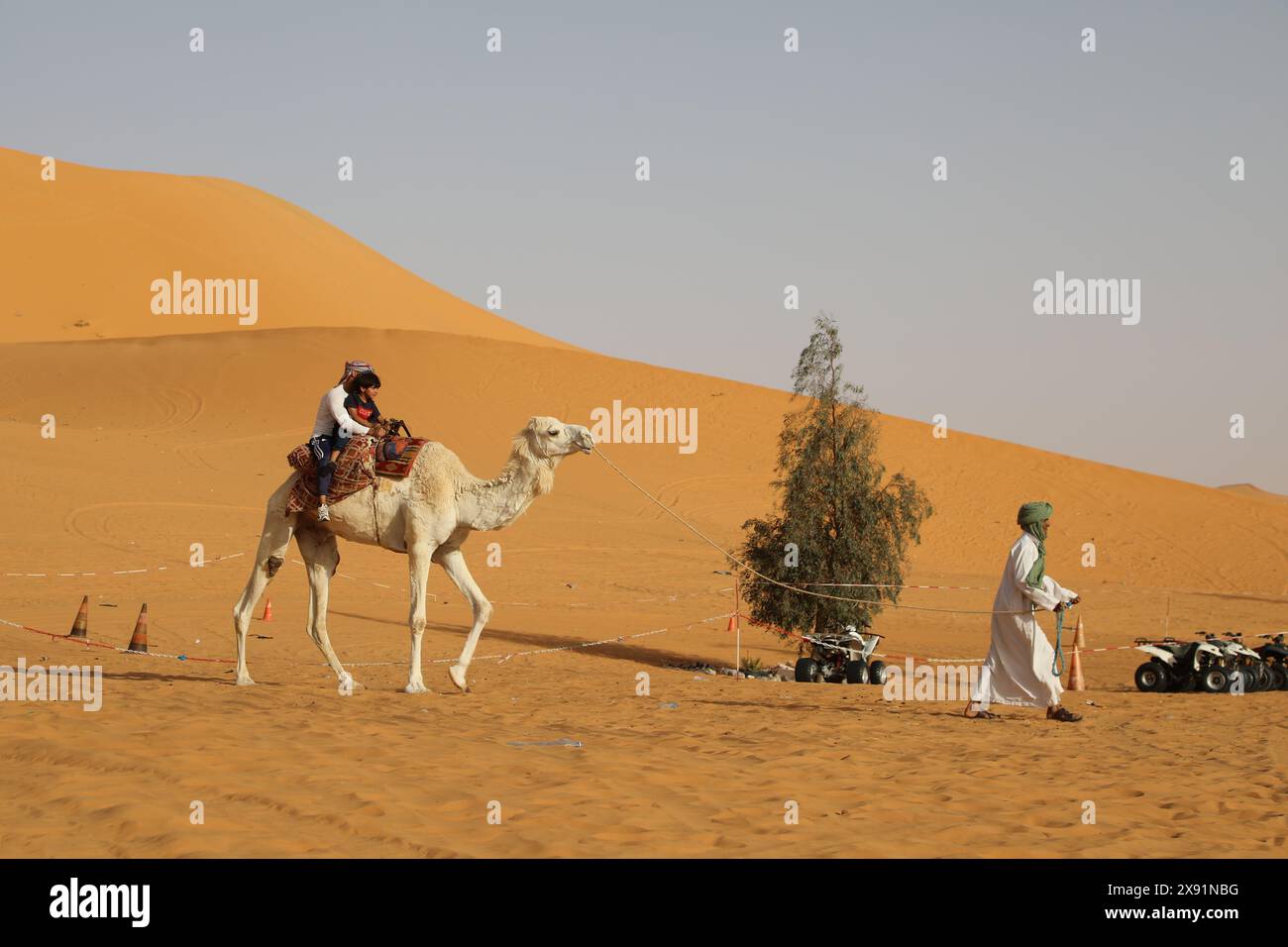 Child riding camel hi-res stock photography and images - Alamy