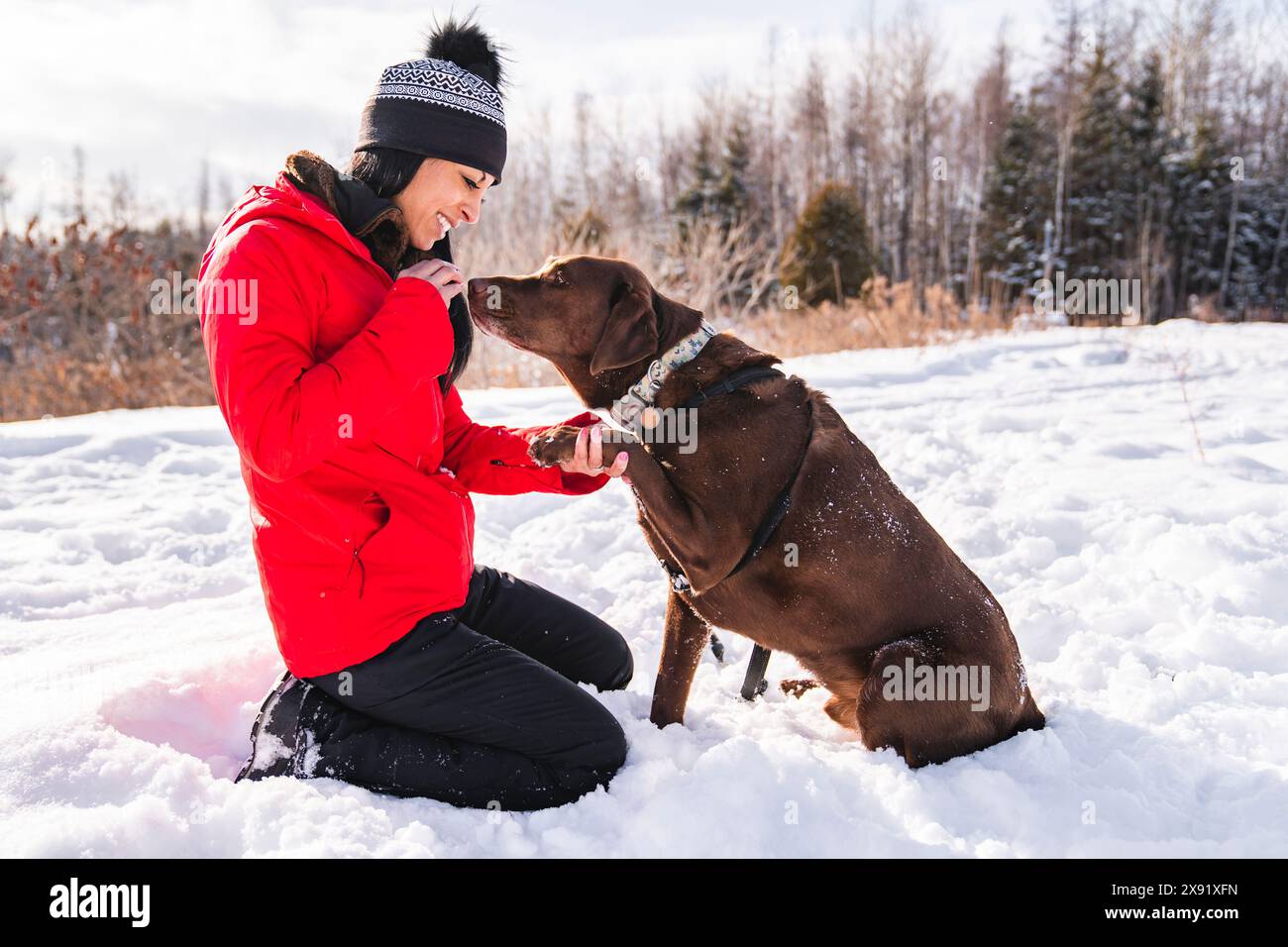 Portrait of a woman with labrador dog in winter season Stock Photo