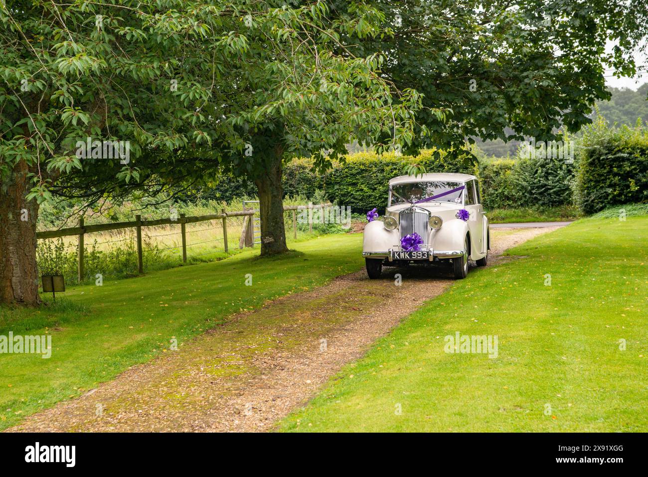 Car ribbon wedding hi-res stock photography and images - Alamy