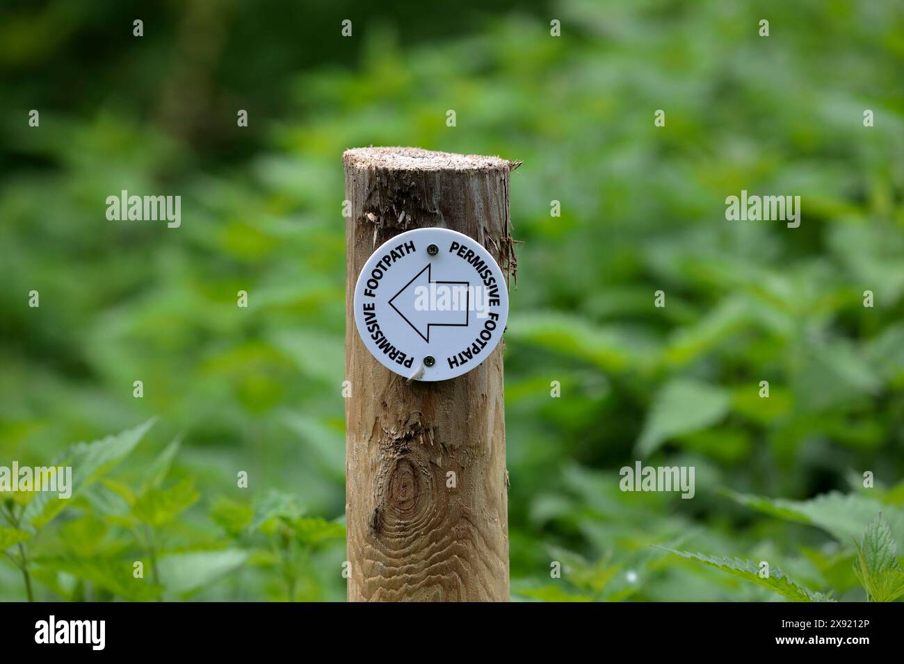 A signpost for a permissive footpath consisting of a direction arrow on a round white base fixed to a wooden post pointing left Stock Photo