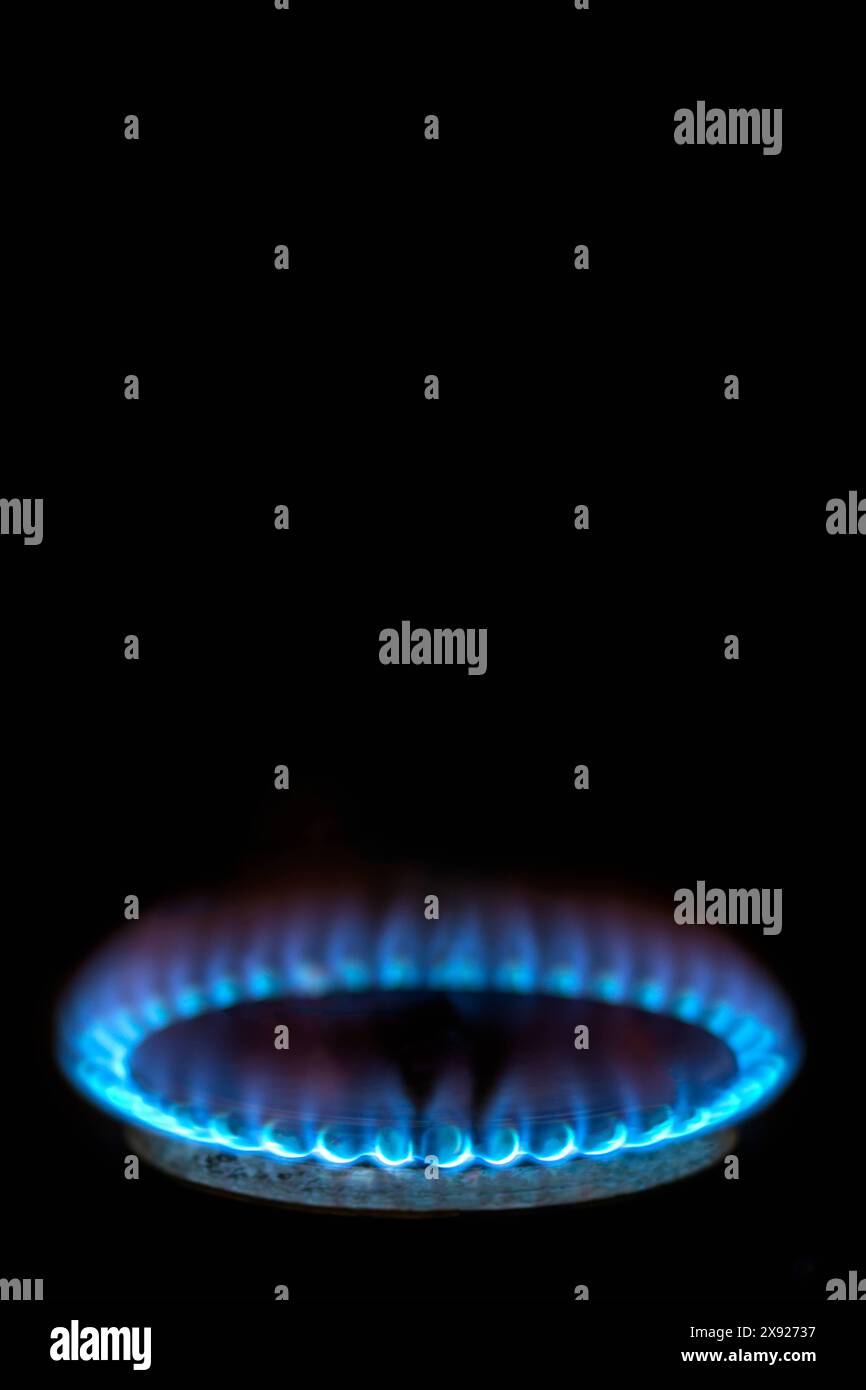 Close-up of a burner, blue flames, on a black background. Gas - Gas