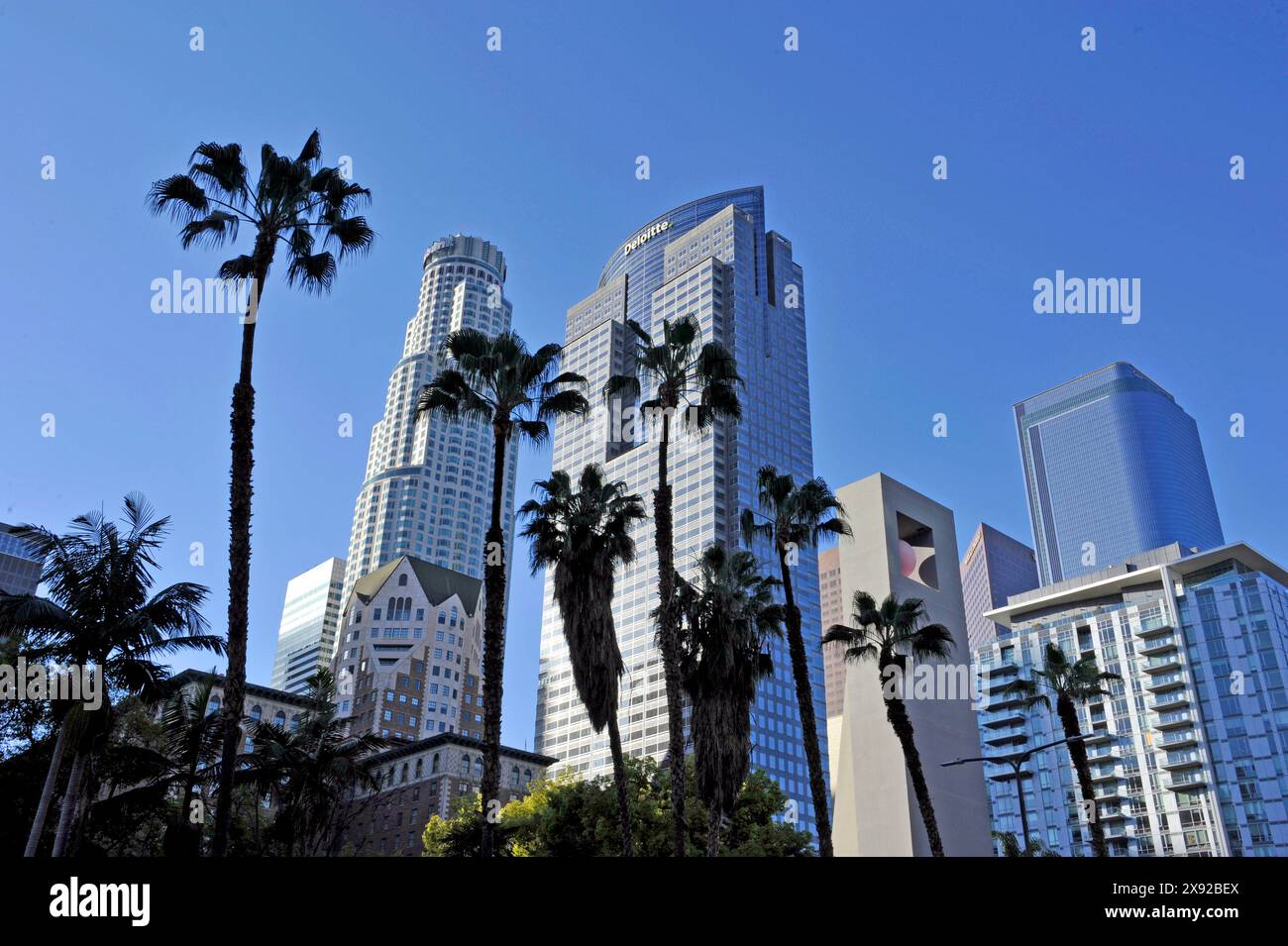 Palm trees high rise buildings hi-res stock photography and images - Alamy