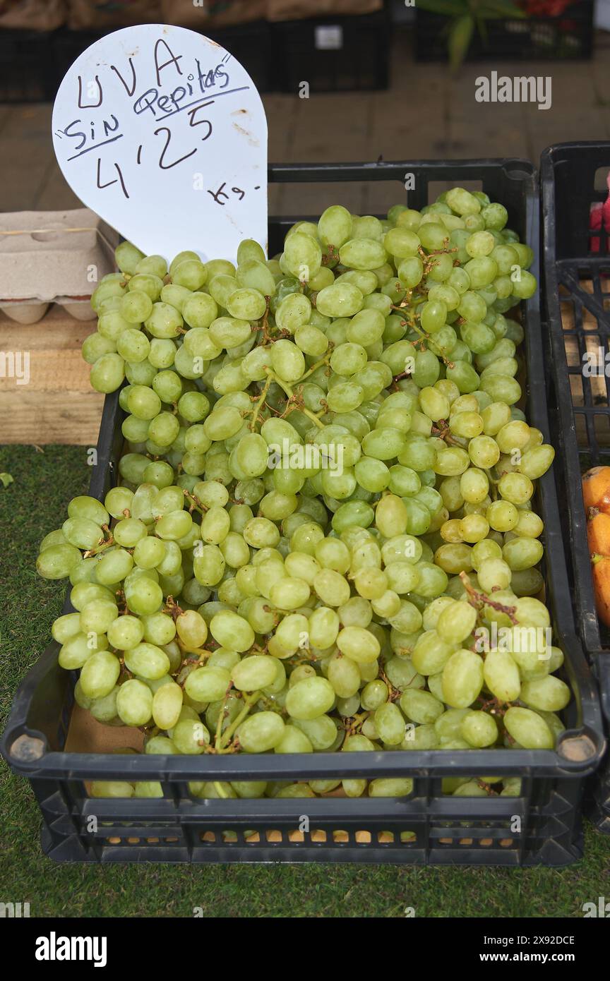 Seedless green grape cluster in a black crate with visible pricing for