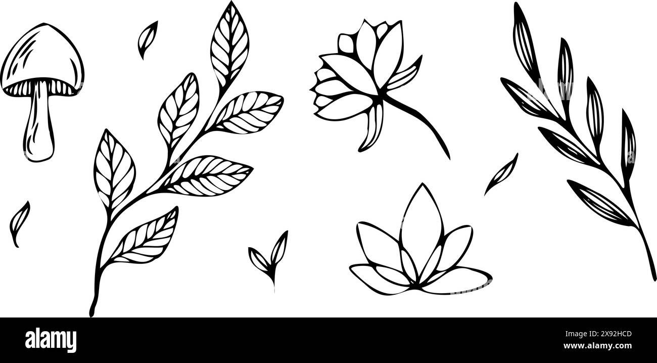 Mystic magic vector line elements. Contour minimalistic hand drawn doodle in black. mysterious mushrooms, flowers, leaves, lotus flower. Outline set Stock Vector