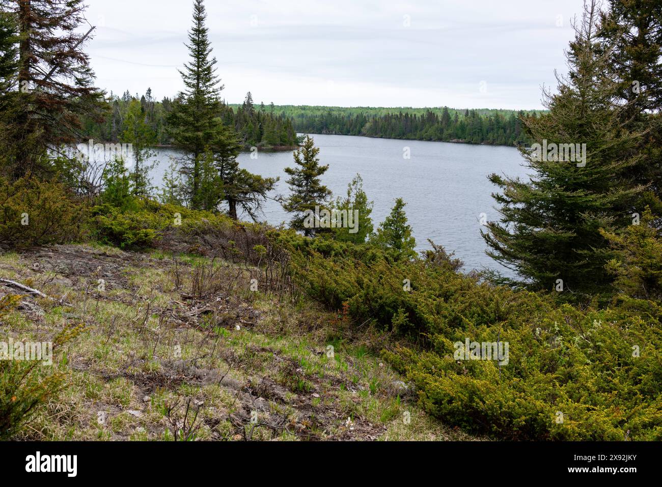 View from a hilltop along the Lake Richie Trail with Lake Richie.  Isle Royale National Park, Michigan, USA. Stock Photo