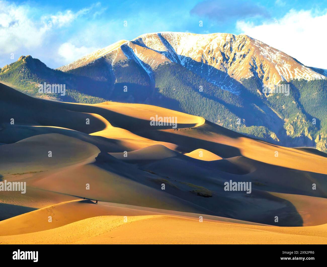 Sand dune shadows and Colorado mountains Stock Photo - Alamy