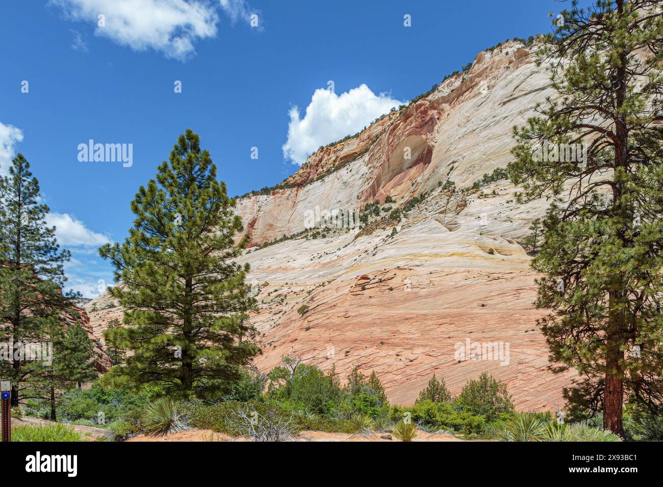 Blind arch on the side of a rock formation in the Checkerboard Mesa ...