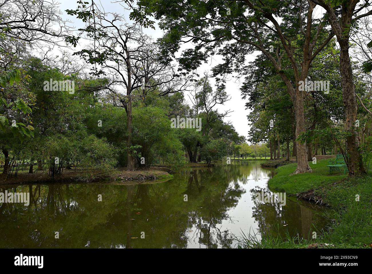 Tranquil setting at Suan Rot Fai, the largest of the 3 parks in the Chatuchak Park complex in the north of Bangkok, Thailand Stock Photo