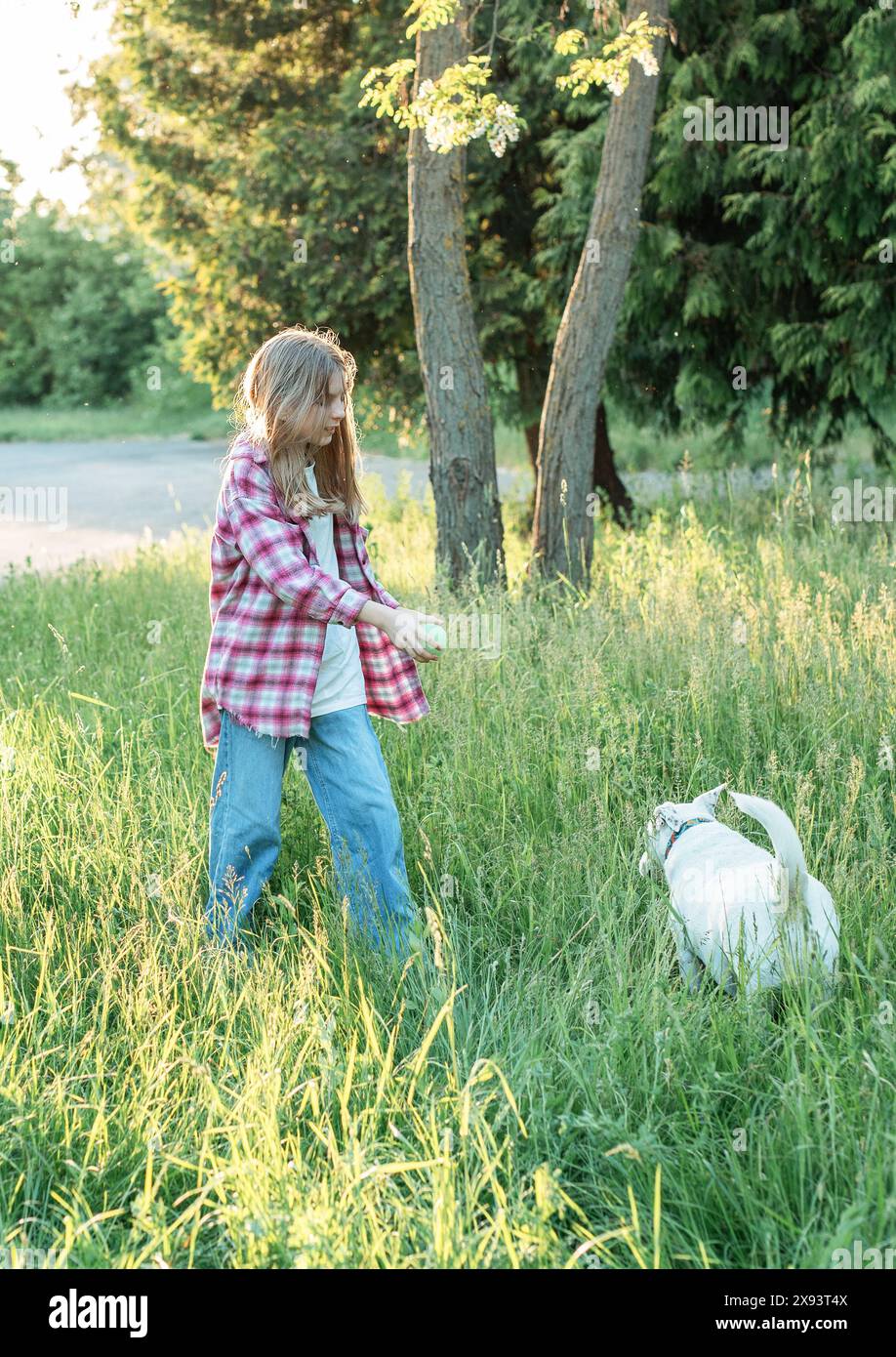 A child with a dog in nature, girl playing with a dog on green grass ...