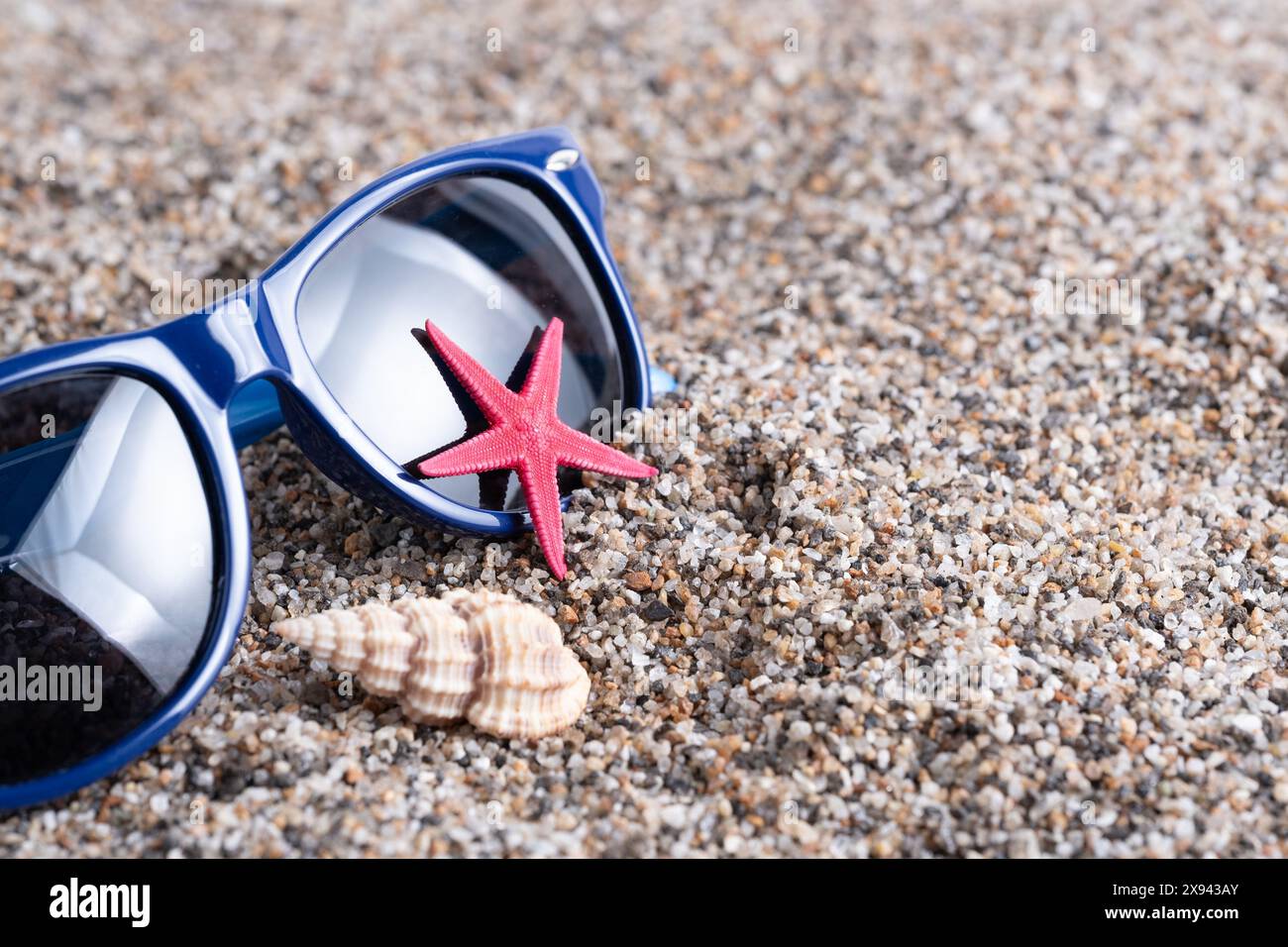 Sunglasses with starfish and seashells on sand Stock Photo