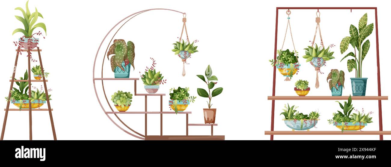 Houseplant and macrame plant growing in pots. Set of flower rack and ...