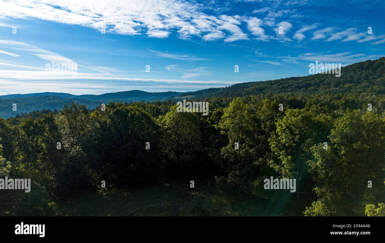 Aerial View of Forest With Mountains in Background Stock Photo - Alamy