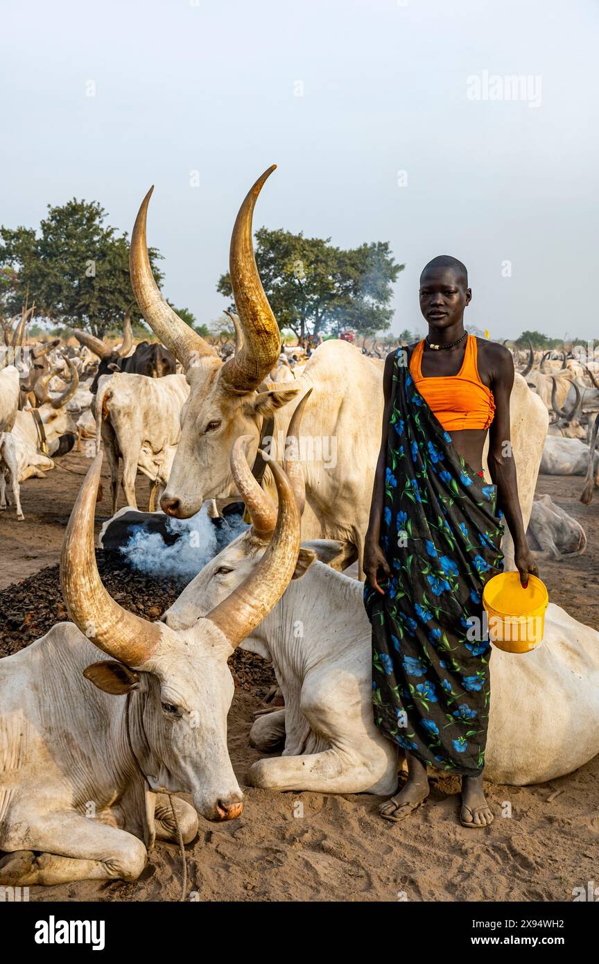 Mundari Woman posing with huge long horn cows, Mundari tribe, South Sudan ...