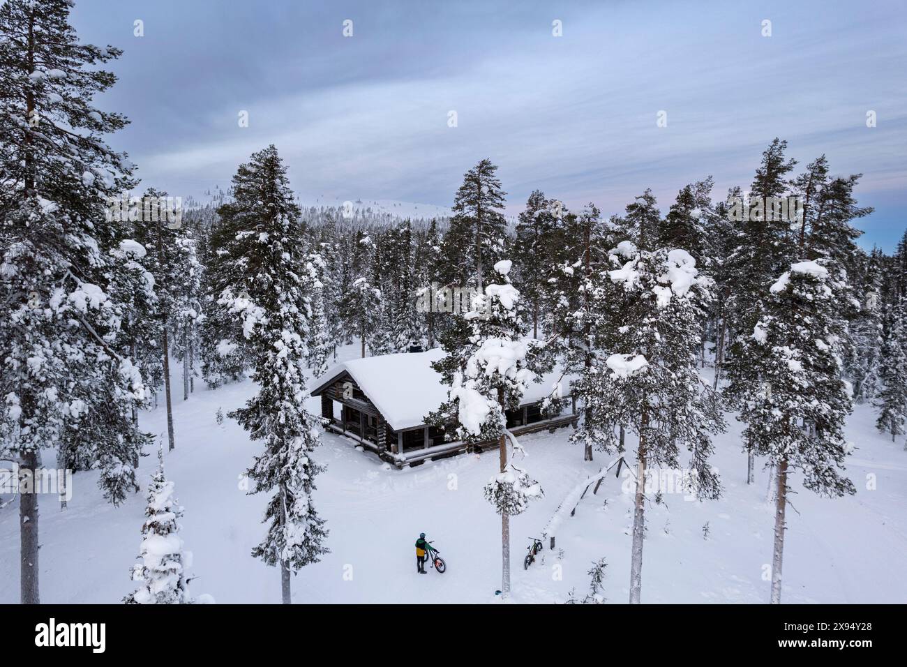 Drone view of a cyclist with fat bike standing in the middle of the tall-tree coniferous forest in front of a mountain hut, Finland Stock Photo