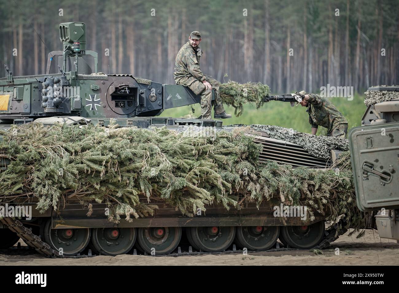 A puma at large exercise online