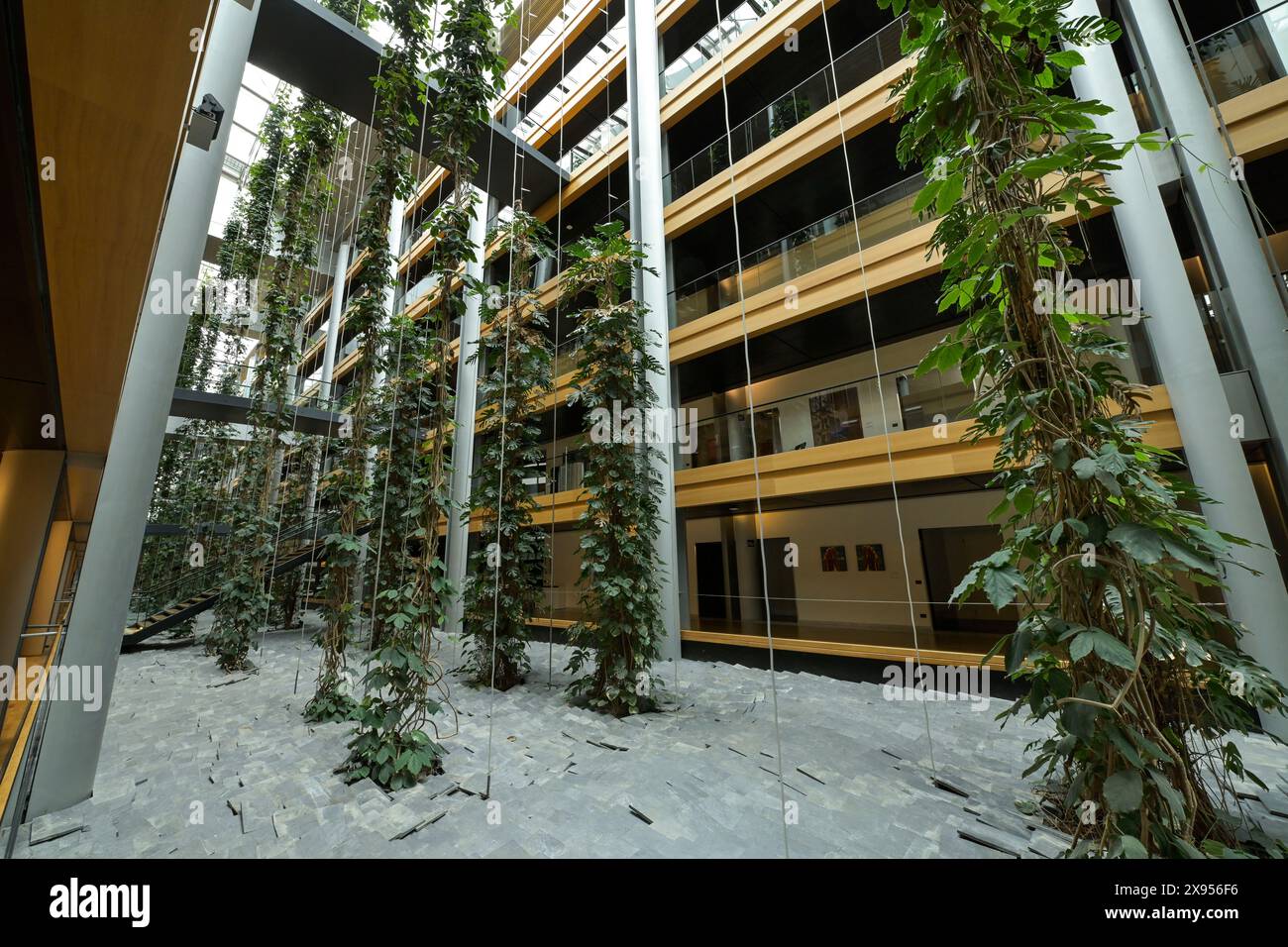 Plants, green courtyard, offices, interior view, European Parliament, 1 All. du Printemps, Strasbourg, Bas-Rhin, France, Pflanzen, begrünter Innenhof, Stock Photo