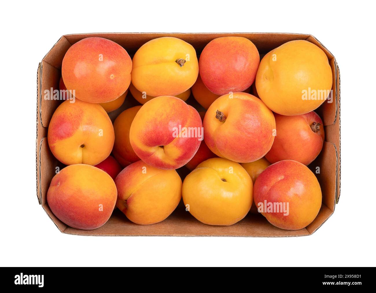 Fresh apricots in a cardboard punnet. Stone fruits of Prunus armeniaca, similar to a small peach. Yellow fruits, tinged red on the side. Stock Photo