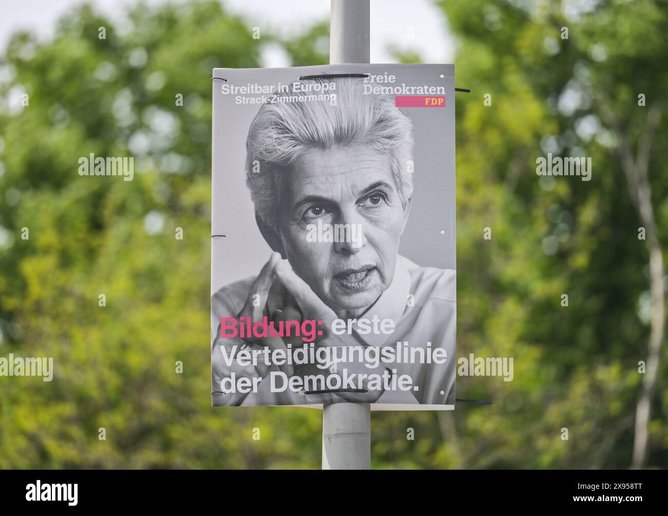 FDP, MarieAgnes StrackZimmermann, election poster for the European