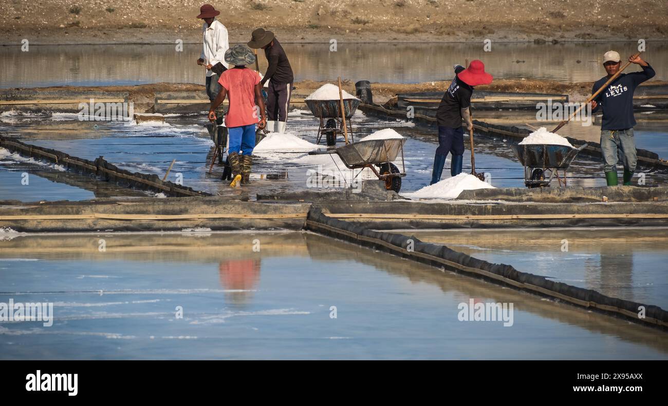 A salt farmers is harvesting salt under the hot summer sun. villagers ...