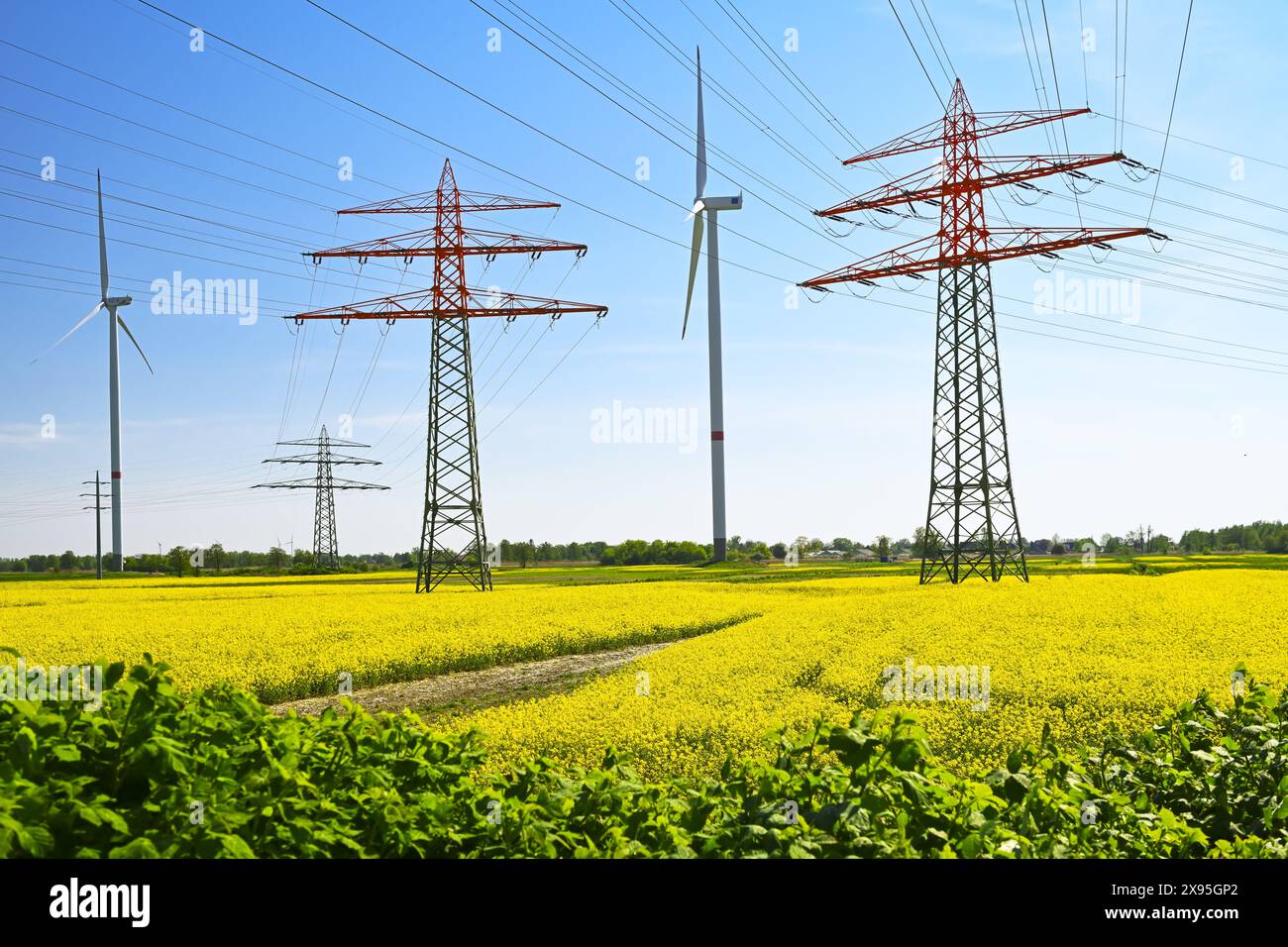 Strommasten, Windräder und Rapsfelder in Bergedorf, Hamburg, Deutschland Stock Photo
