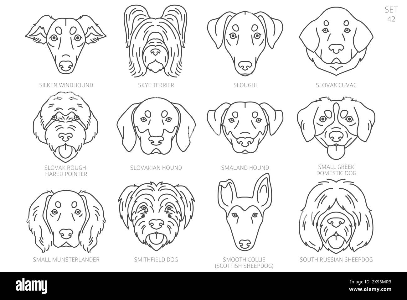 Dog head Silhouettes in alphabet order. All dog breeds. Simple line ...