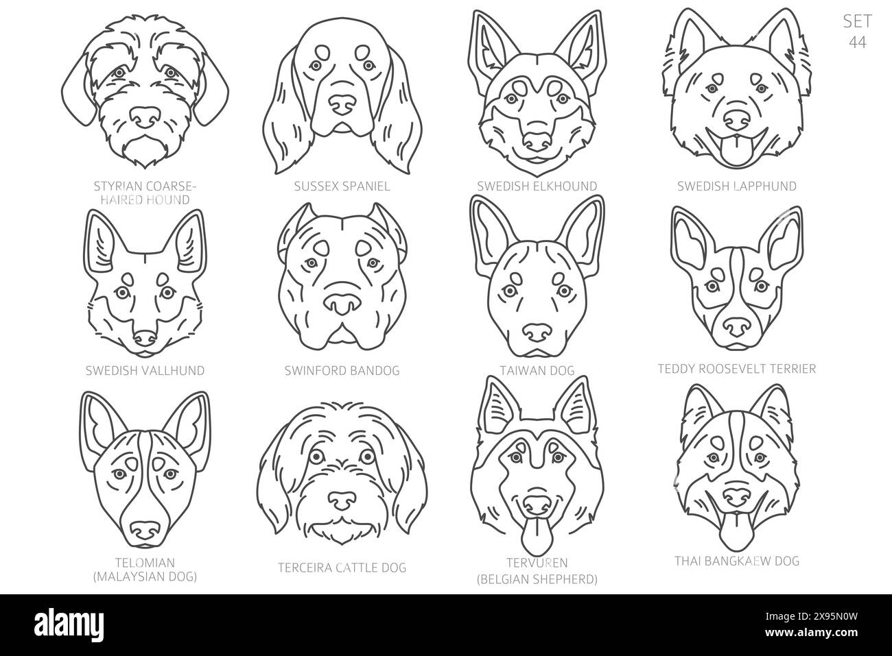 Dog head Silhouettes in alphabet order. All dog breeds. Simple line