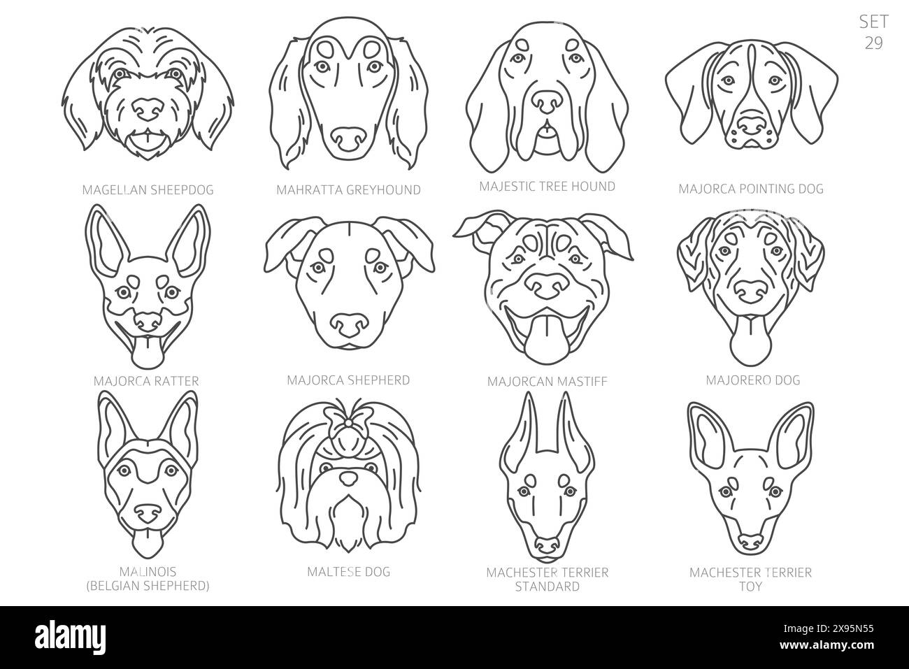 Dog head Silhouettes in alphabet order. All dog breeds. Simple line ...