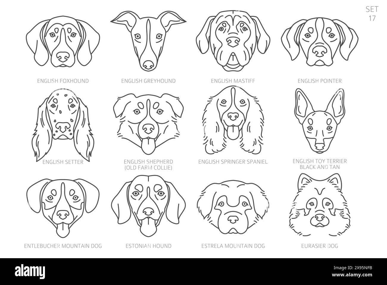 Dog head Silhouettes in alphabet order. All dog breeds. Simple line