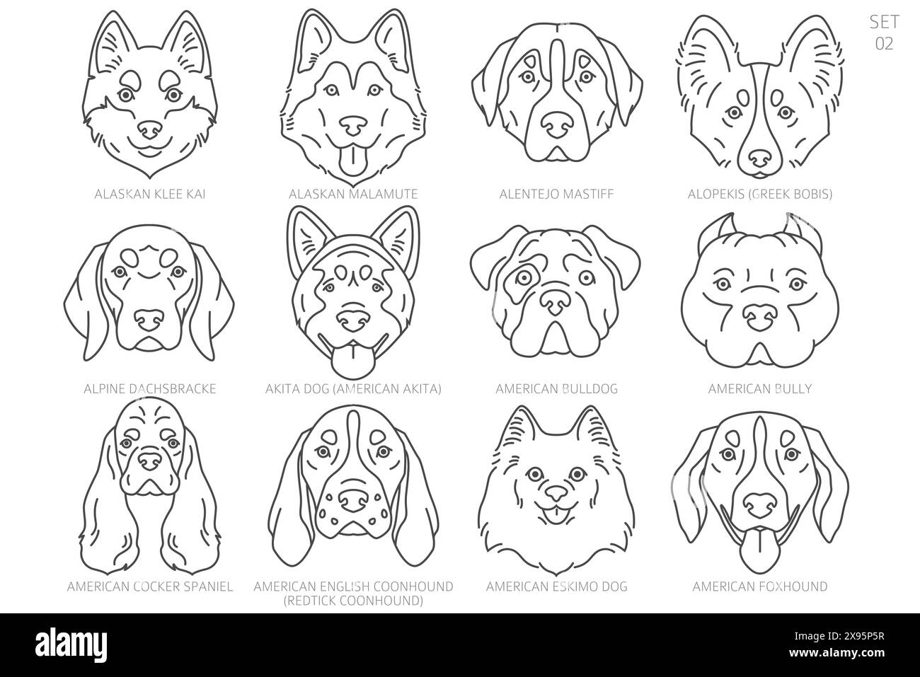 Dog head Silhouettes in alphabet order. All dog breeds. Simple line vector design. Vector illustration Stock Vector